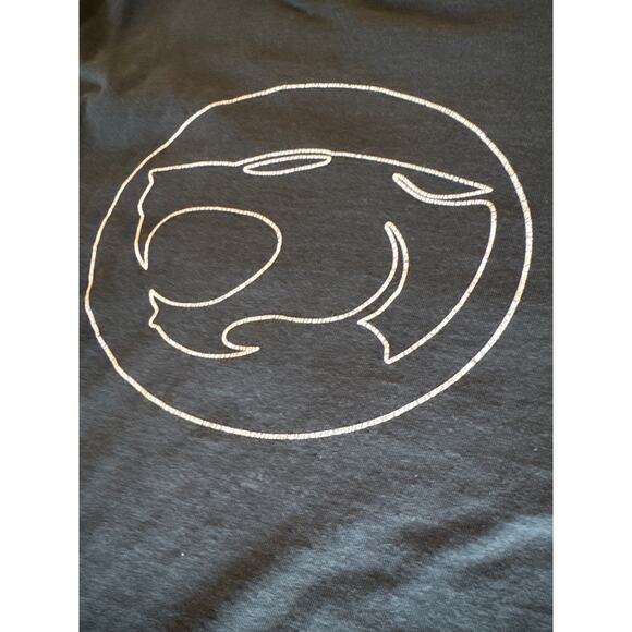 Vintage ‘05 Thundercats Faded Black XL Delta Pro Weight T-Shirt - Picture 3 of 7